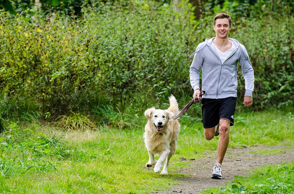 Urlaub und Ferien mit dem Hund im Ferienhaus oder Ferienwohnung in